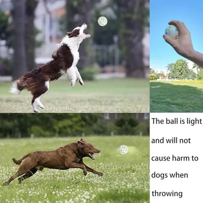 Hochelastisches, robustes und bissfestes Wasserspielzeug für Hunde
