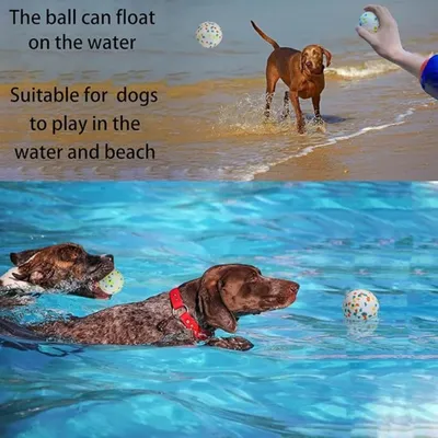 Hochelastisches, robustes und bissfestes Wasserspielzeug für Hunde
