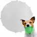 Leuchtender Hundeball, interaktiver Nachtball, Apportierspielzeug Geräuscha