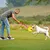 Schwimmender Hunde-Football, robustes Outdoor-Spielzeug