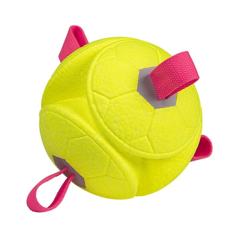 Schwimmender Hunde-Football, robustes Outdoor-Spielzeug