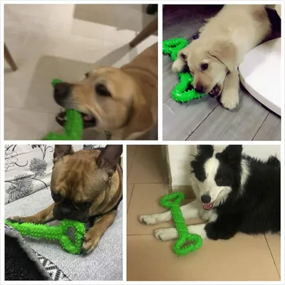 Robustes Hundekauspielzeug für starke Kauer, 33 cm