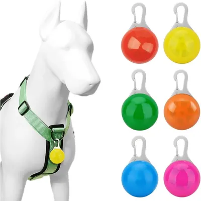LED-Anhänger-Set Hunde- Katzenhalsbänder, 6er-Set, Nachtlicht-Sicherheitsan