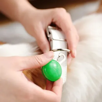 LED-Anhänger-Set Hunde- Katzenhalsbänder, 6er-Set, Nachtlicht-Sicherheitsan
