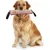 2er-Pack Hunde-Zerrspielzeug, robust, 2 stabile Griffe