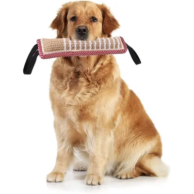 2er-Pack Hunde-Zerrspielzeug, robust, 2 stabile Griffe