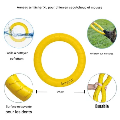 FurryFusion Frisbee- und Ringspiel für Hunde