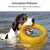 FurryFusion Frisbee- und Ringspiel für Hunde