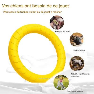 FurryFusion Frisbee- und Ringspiel für Hunde