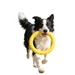 FurryFusion Frisbee- und Ringspiel für Hunde