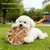 FurryFusion Silikon-Frisbee für Hundetraining