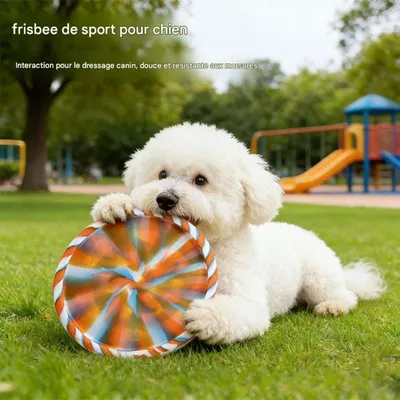 FurryFusion Silikon-Frisbee für Hundetraining