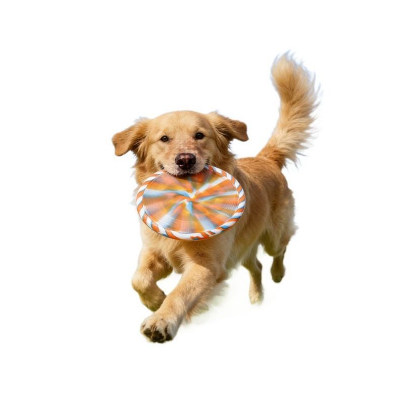 FurryFusion Silikon-Frisbee für Hundetraining
