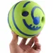 Interaktiver Hundeball mit Geräusch, 10 cm – Kauspielzeug und Training