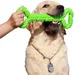Hundespielzeug – Grün – 32 x 12 cm – Kauspielzeug für Hunde