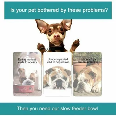 Slow-Feeder-Puzzle für Hunde – Lernspielzeug für langsames Fressen, Minze
