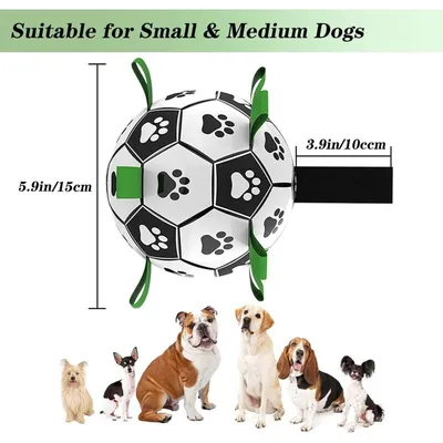 Wasserdichter Hundeball, robustes Spielzeug für kleine und mittlere Hunde