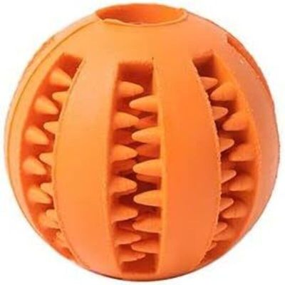 Hundeball – ungiftiges Kauspielzeug für die Zahnpflege und zum Spielen