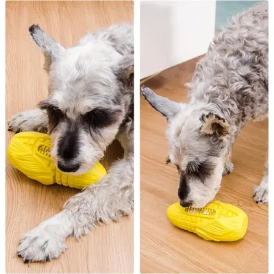 Hundespielzeug aus Naturkautschuk in Maisform – langlebiges Kauspielzeug Zä