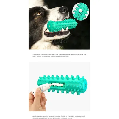 Zahnpflege-Stick für Hunde – 360°-Kauspielzeug zur Zahnreinigung