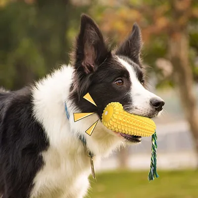 2er-Set Hundespielzeug aus Gummi – unzerstörbarer Stock zur Zahnreinigung
