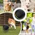 Interaktiver Hundeball – automatischer, wiederaufladbarer, springender Ball