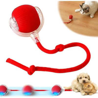 Katzenball – automatisches Interaktionsspielzeug für Spiel und Stimulation