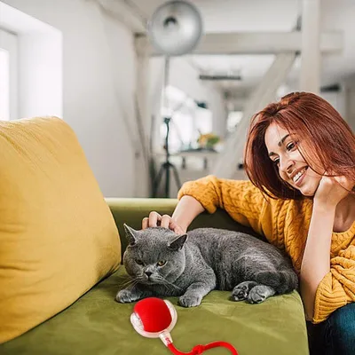 Katzenball – automatisches Interaktionsspielzeug für Spiel und Stimulation