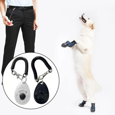 Clicker für Hundetraining mit großem Knopf