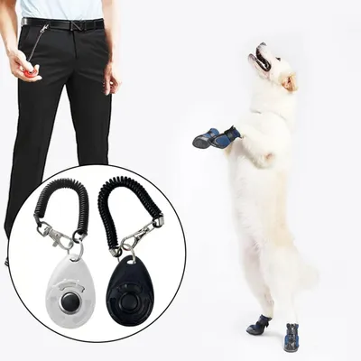 Clicker für Hundetraining mit großem Knopf Clicker für Hundetraining mit großem Knopf