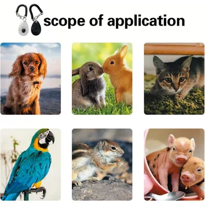 Clicker für Hundetraining mit großem Knopf Clicker für Hundetraining mit großem Knopf