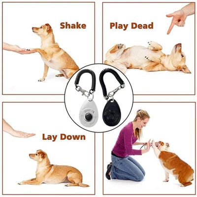 Clicker für Hundetraining mit großem Knopf