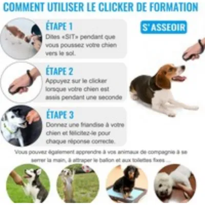 Hundetraining-Clicker mit elastischer Handschlaufe und großem Knopf Hundetraining-Clicker mit elastischer Handschlaufe und großem Knopf