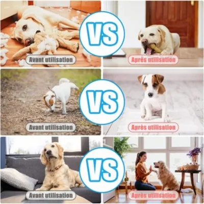 Hundetraining-Clicker mit elastischer Handschlaufe und großem Knopf Hundetraining-Clicker mit elastischer Handschlaufe und großem Knopf