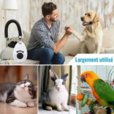 Hundetraining-Clicker mit elastischer Handschlaufe und großem Knopf Hundetraining-Clicker mit elastischer Handschlaufe und großem Knopf