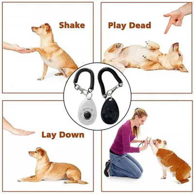 Hundetrainings-Clicker – großer Knopf für präzises Training