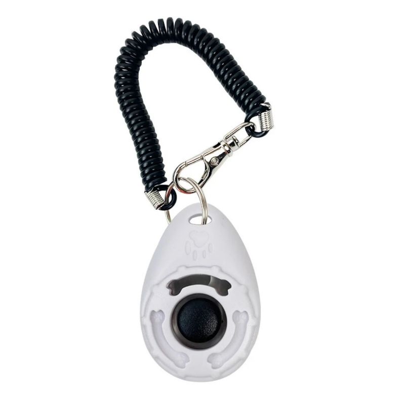 Hundetrainings-Clicker – großer Knopf für präzises Training