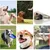 2 Ultraschall-Hundepfeifen Hunde, Rückruf-Trainingspfeife Gehorsamstraining 2 Ultraschall-Hundepfeifen Hunde, Rückruf-Trainingspfeife Gehorsamstraining