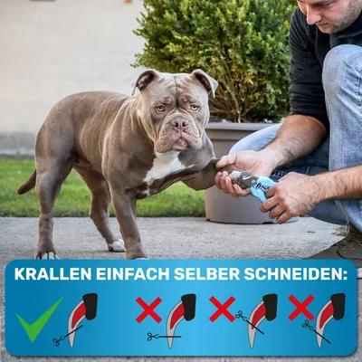 BluePet Profi Krallenschere Verstellbar, Stark für kleine & große Hunde BluePet Profi Krallenschere Verstellbar, Stark für kleine & große Hunde