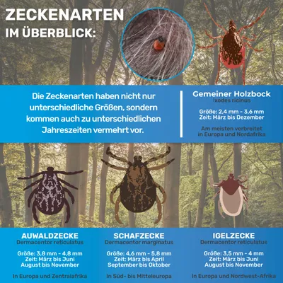 BluePet Zeckenkarte mit Lupe Zeckenentferner für Hund, Katze & Mensch BluePet Zeckenkarte mit Lupe Zeckenentferner für Hund, Katze & Mensch