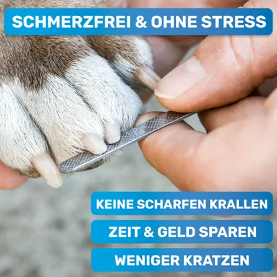 BluePet Krallenschere mit Schutz, Krallenzange Hund Katze + Abstandsschutz