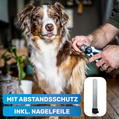 BluePet Krallenschere mit Schutz, Krallenzange Hund Katze + Abstandsschutz