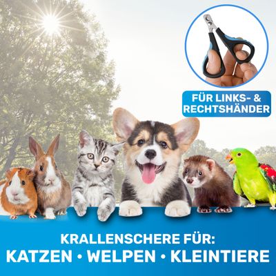 BluePet Krallenschere Mini für kleine Hunde, Katzen, Welpen und Nagetiere