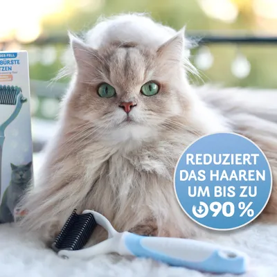 BluePet Unterwollbürste Katze, Langhaar Unterfellbürste, Unterwolle Kamm