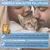 BluePet Unterwollbürste Katze, Langhaar Unterfellbürste, Unterwolle Kamm