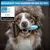 BluePet Unterwollbürste, Langhaar Unterfellbürste, Bürste für Hund & Katze