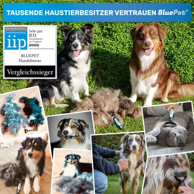 BluePet Unterwollbürste, Langhaar Unterfellbürste, Bürste für Hund & Katze BluePet Unterwollbürste, Langhaar Unterfellbürste, Bürste für Hund & Katze