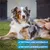 BluePet Unterwollbürste, Langhaar Unterfellbürste, Bürste für Hund & Katze BluePet Unterwollbürste, Langhaar Unterfellbürste, Bürste für Hund & Katze