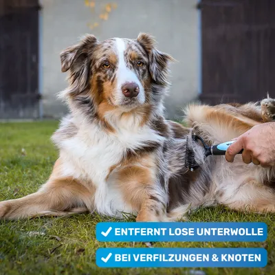 BluePet Unterwollbürste, Langhaar Unterfellbürste, Bürste für Hund & Katze BluePet Unterwollbürste, Langhaar Unterfellbürste, Bürste für Hund & Katze