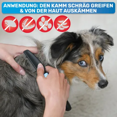 BluePet Flohkamm & Läusekamm für Hund & Katze, bei Flöhen, Läusen & Zecken BluePet Flohkamm & Läusekamm für Hund & Katze, bei Flöhen, Läusen & Zecken